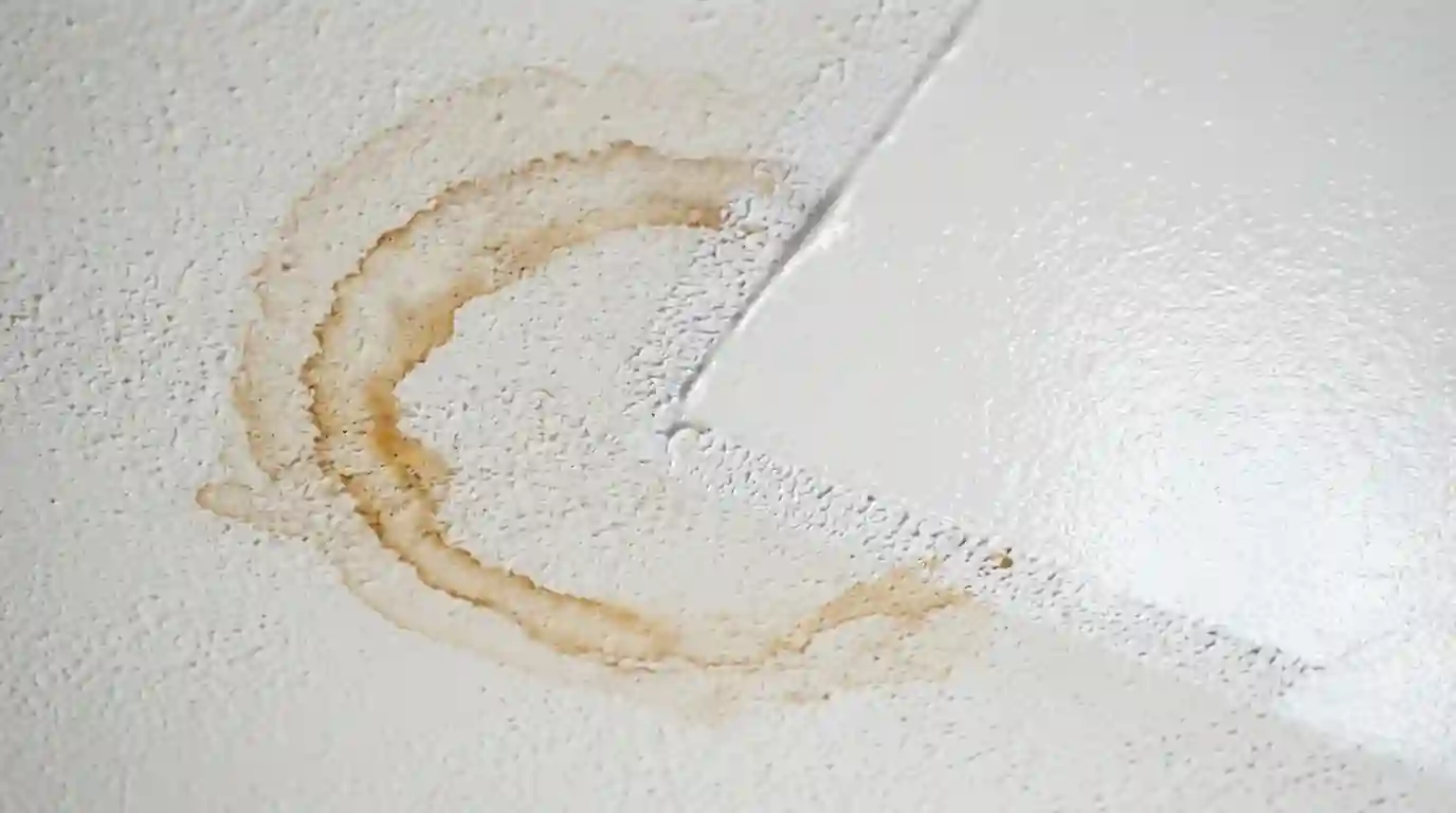 Ceiling water stain partly covered with stain-blocking primer